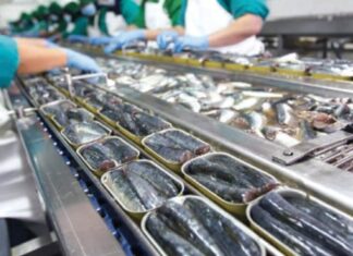 Le Conseil de la concurrence secoue le marché de la sardine industrielle