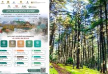 Écotourisme. La SMIT ouvre un nouvel horizon vert à Ifrane