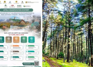 Écotourisme. La SMIT ouvre un nouvel horizon vert à Ifrane