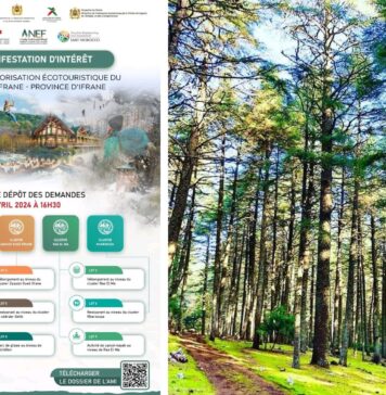 Écotourisme. La SMIT ouvre un nouvel horizon vert à Ifrane