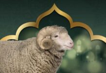 Date du Aïd al-Adha 2026 : les prévisions pointent vers le 27 mai Date du Aïd al-Adha 2026 : les prévisions pointent vers le 27 mai