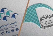 CNSS-DAMANCOM : nouveau système, délai prolongé CNSS-DAMANCOM : nouveau système, délai prolongé