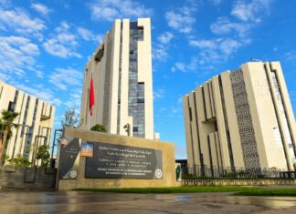 Conservation foncière. NearSecure va auditer le système d’information Conservation foncière. NearSecure va auditer le système d’information