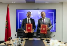 Marchés publics. Tamwilcom et Finéa élargissent leur soutien aux TPME Marchés publics. Tamwilcom et Finéa élargissent leur soutien aux TPME