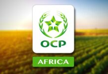 OCP Africa engage une nouvelle phase de gouvernance OCP Africa engage une nouvelle phase de gouvernance