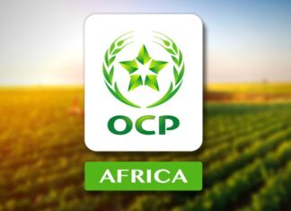 OCP Africa engage une nouvelle phase de gouvernance OCP Africa engage une nouvelle phase de gouvernance