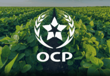 OCP affiche sa vision pour l’agriculture africaine à Nairobi OCP affiche sa vision pour l’agriculture africaine à Nairobi