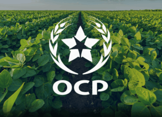 OCP affiche sa vision pour l’agriculture africaine à Nairobi