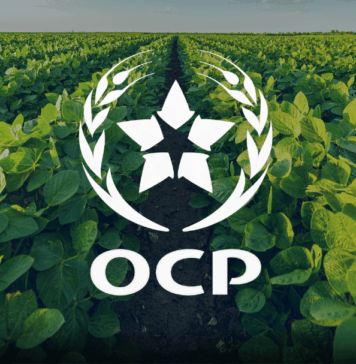 OCP affiche sa vision pour l’agriculture africaine à Nairobi OCP affiche sa vision pour l’agriculture africaine à Nairobi
