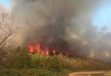 De violents incendies frappent les forêts de Tétouan et Chefchaouen De violents incendies frappent les forêts de Tétouan et Chefchaouen