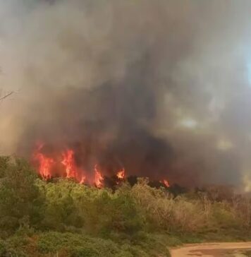 De violents incendies frappent les forêts de Tétouan et Chefchaouen De violents incendies frappent les forêts de Tétouan et Chefchaouen
