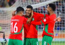 CHAN 2024 : Les Lions de l’Atlas en demi-finale ! CHAN 2024 : Les Lions de l’Atlas en demi-finale !