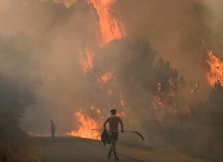 Incendies : plus d’un million d’hectares brûlés en Europe, un record en 20 ans Incendies : plus d’un million d’hectares brûlés en Europe, un record en 20 ans