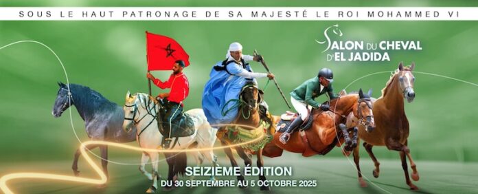 Le Maroc accède au cercle fermé des “Title Shows” de chevaux pur-sang arabes