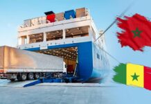 Maroc-Sénégal : Une nouvelle ligne maritime pour booster les échanges africains Maroc-Sénégal : Une nouvelle ligne maritime pour booster les échanges africains