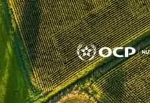 OCP Nutricrops exportera 40.000 tonnes d’engrais vers le Bangladesh OCP Nutricrops exportera 40.000 tonnes d’engrais vers le Bangladesh