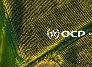 OCP Nutricrops exportera 40.000 tonnes d’engrais vers le Bangladesh