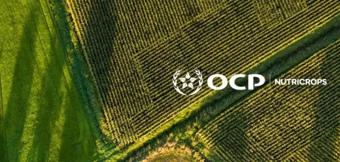 OCP Nutricrops exportera 40.000 tonnes d’engrais vers le Bangladesh