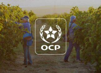 Agriculture : les plateformes Al Moutmir boostent les rendements malgré la sécheresse Agriculture : les plateformes Al Moutmir boostent les rendements malgré la sécheresse