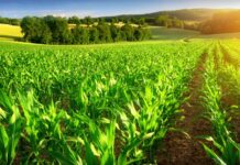 Agriculture : ce que l’eau exportée vers l’Europe coûte au Maroc Agriculture : ce que l’eau exportée vers l’Europe coûte au Maroc