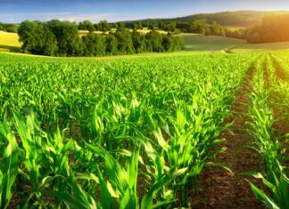 Export. L’agriculture maintient sa part à 20% avec 48,5 Mds DH Export. L’agriculture maintient sa part à 20% avec 48,5 Mds DH