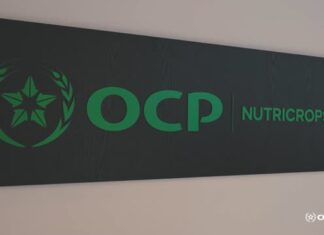 HoldCo B.V. : la nouvelle structure d’OCP pour ses participations étrangères HoldCo B.V. : la nouvelle structure d’OCP pour ses participations étrangères