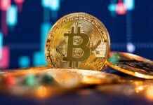 Le bitcoin retrouve son souffle après la tempête financière Le bitcoin retrouve son souffle après la tempête financière