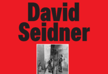 Le musée YSL Marrakech rend hommage à Seidner Le musée YSL Marrakech rend hommage à Seidner