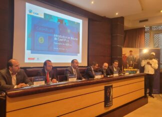 Cash Plus annonce son IPO à 750 millions de dirhams