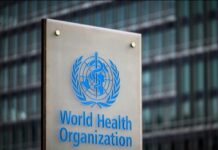 L’OMS reconnaît la maîtrise de l’hépatite B par le Maroc L’OMS reconnaît la maîtrise de l’hépatite B par le Maroc