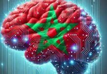 Les centres Jazari, ces maillons clés de l’intelligence artificielle nationale Les centres Jazari, ces maillons clés de l’intelligence artificielle nationale