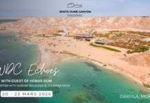 À Dakhla, WDC Echoes installe un rendez-vous artistique féminin de choix À Dakhla, WDC Echoes installe un rendez-vous artistique féminin de choix
