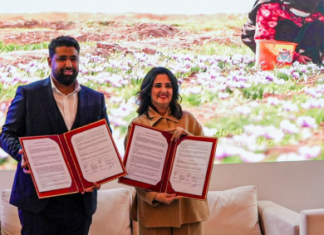 Sothema s’allie à Naali et mise sur le safran marocain Sothema s’allie à Naali et mise sur le safran marocain