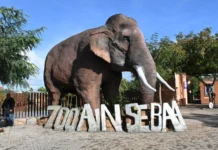 Casablanca : supervision renforcée pour le zoo d’Aïn Sebaâ Casablanca : supervision renforcée pour le zoo d’Aïn Sebaâ