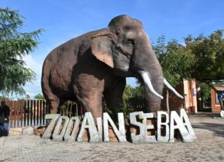Casablanca : supervision renforcée pour le zoo d’Aïn Sebaâ