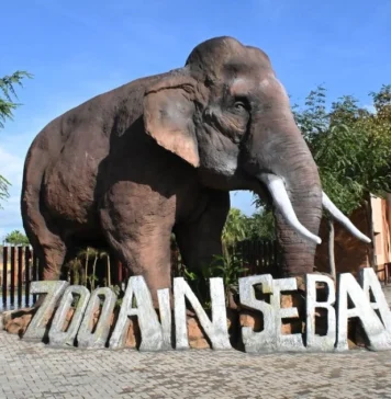 Casablanca : supervision renforcée pour le zoo d’Aïn Sebaâ Casablanca : supervision renforcée pour le zoo d’Aïn Sebaâ
