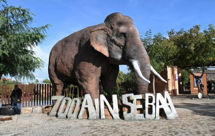 Casablanca : supervision renforcée pour le zoo d’Aïn Sebaâ