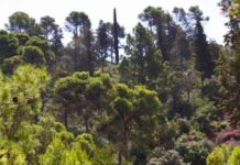 Bab Rmila fait l’objet d’un projet d’aménagement à Moulay Idriss Zerhoun Bab Rmila fait l’objet d’un projet d’aménagement à Moulay Idriss Zerhoun