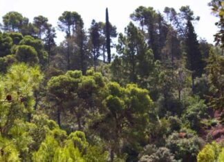 Bab Rmila fait l’objet d’un projet d’aménagement à Moulay Idriss Zerhoun