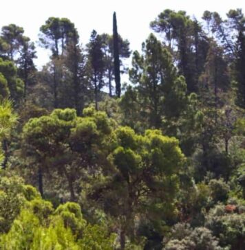 Bab Rmila fait l’objet d’un projet d’aménagement à Moulay Idriss Zerhoun Bab Rmila fait l’objet d’un projet d’aménagement à Moulay Idriss Zerhoun