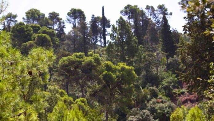 Bab Rmila fait l’objet d’un projet d’aménagement à Moulay Idriss Zerhoun