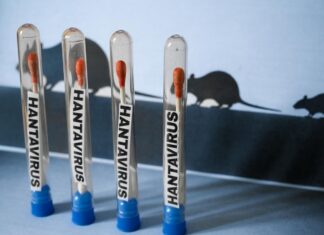 Hantavirus : un vol sanitaire dérouté après le refus du Maroc