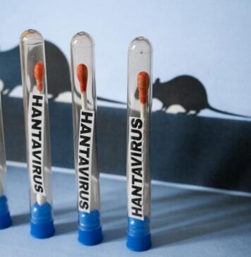 Hantavirus : un vol sanitaire dérouté après le refus du Maroc Hantavirus : un vol sanitaire dérouté après le refus du Maroc