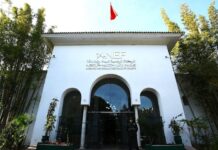 El Jadida : l’ANEF clarifie l’abattage d’eucalyptus à Sidi Mesbah El Jadida : l’ANEF clarifie l’abattage d’eucalyptus à Sidi Mesbah