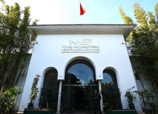 El Jadida : l’ANEF clarifie l’abattage d’eucalyptus à Sidi Mesbah