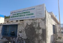 Cas de morsure de serpent à Essaouira : les antivenins indisponibles