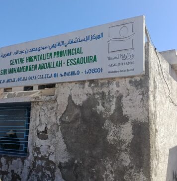 Cas de morsure de serpent à Essaouira : les antivenins indisponibles