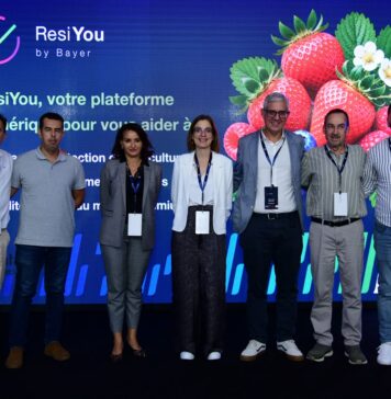 Bayer introduit l’IA dans la gestion des résidus agricoles au Maroc Bayer introduit l’IA dans la gestion des résidus agricoles au Maroc