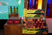 ZNIBER succède aux marques historiques des Domaines Zniber ZNIBER succède aux marques historiques des Domaines Zniber