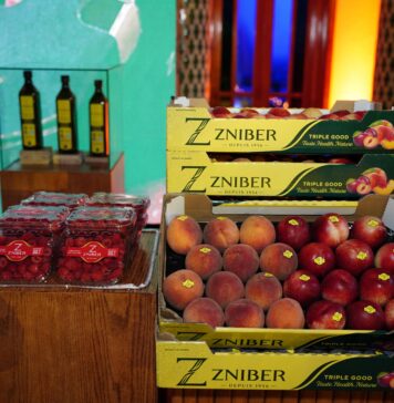 ZNIBER succède aux marques historiques des Domaines Zniber ZNIBER succède aux marques historiques des Domaines Zniber